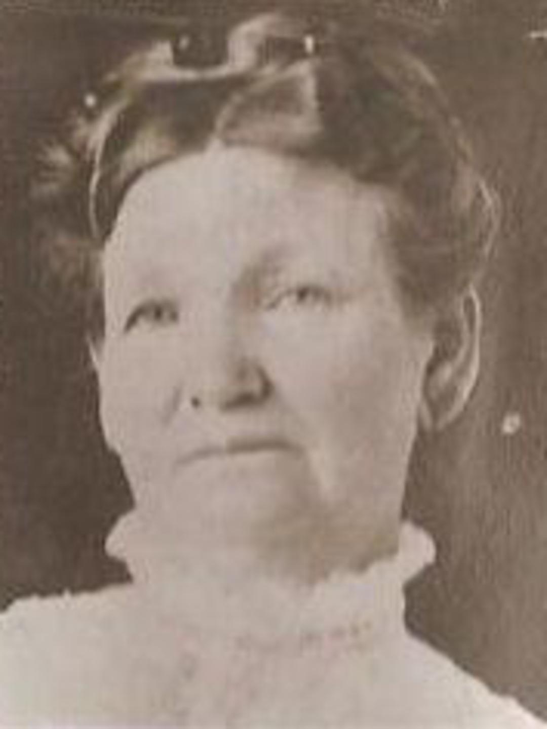 Yetta Christine Christensen Tollestrup (1854 - 1933) Profile